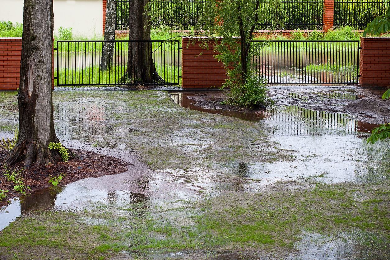 Managing Water Damage From Spring Flooding in Colorado