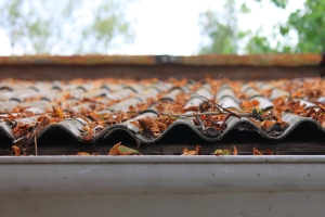 Fall Home Maintenance to Prevent Water, Fire, & Storm Damage in Colorado