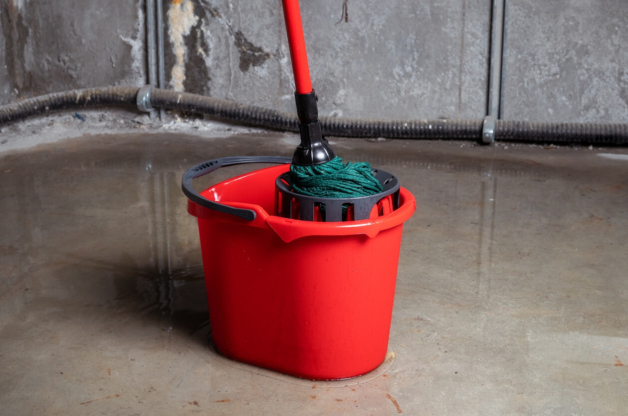 Basement Flooding: Causes and Solutions 
