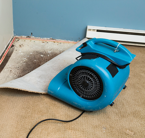 Water Damage Restoration Services in Briargate, CO | Property Restoration Solutions - drying