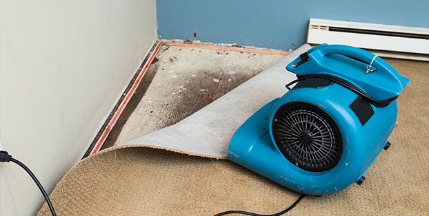 Property Restoration Company in Green Mountain, CO | PRSCS - green-mountain-1