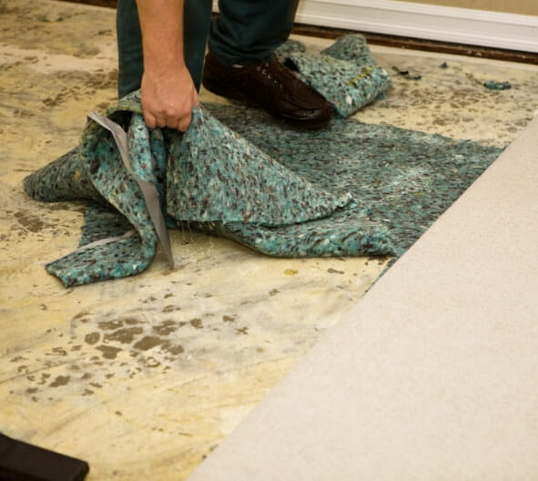 Best Property Restoration Services in Falcon, CO - service-area-child-2