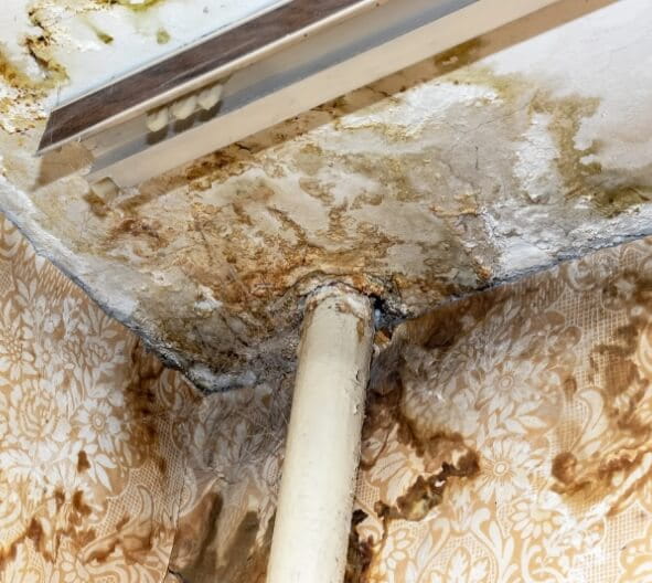 Mold and Water Damage Property Restoration Solutions