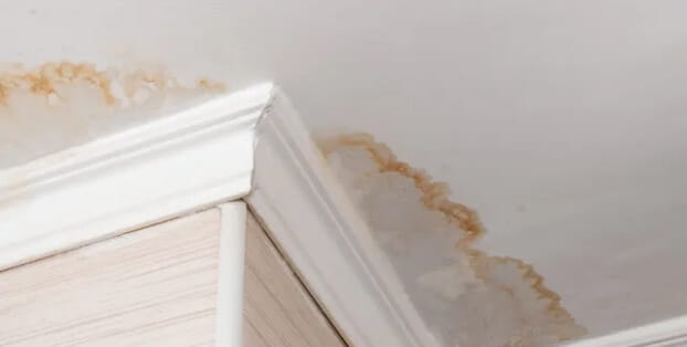 Ceiling Water Damage Property Restoration Solutions